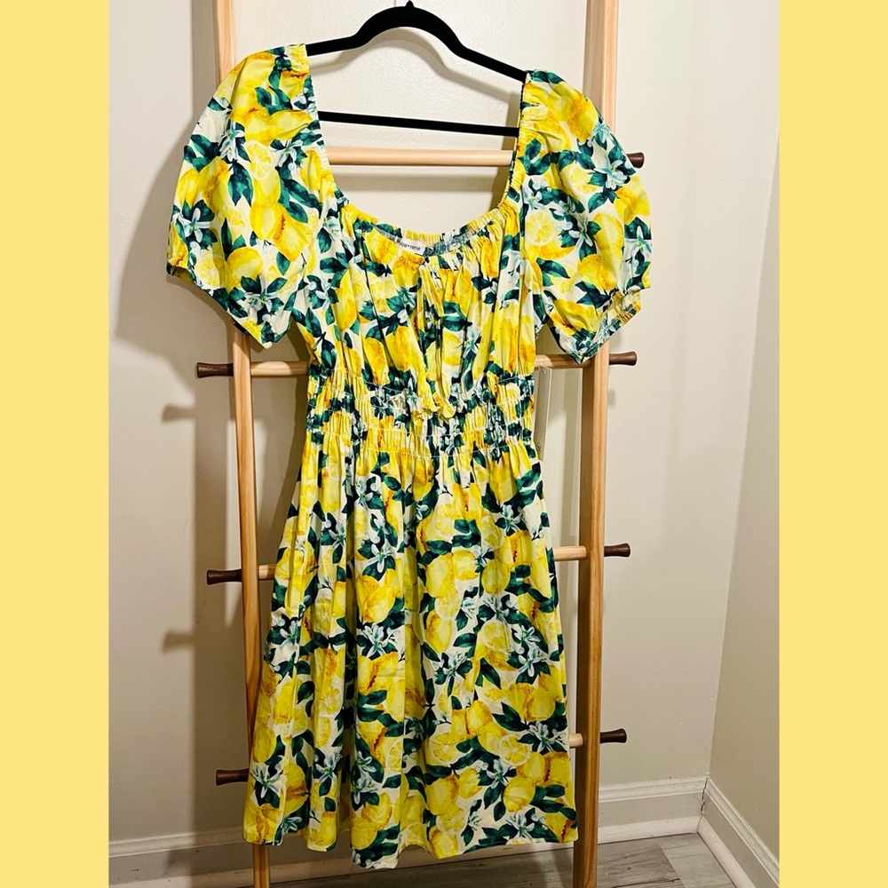 2X Dress